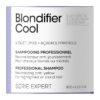 L’Oréal Professionnel SERIE EXPERT Blondifier Σαμπουάν Για Ψυχρά Ξανθά Μαλλιά 300ml